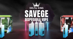 Wellness Benefits of Delta 8 Vapes Explained